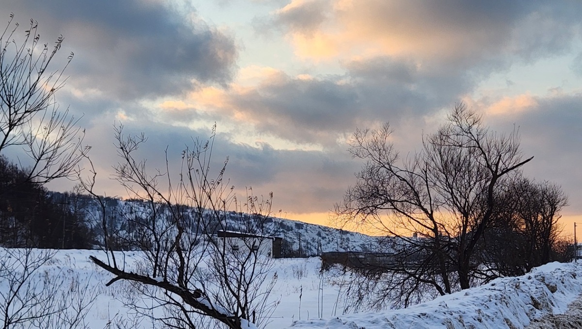     Источник: vostokmedia.com