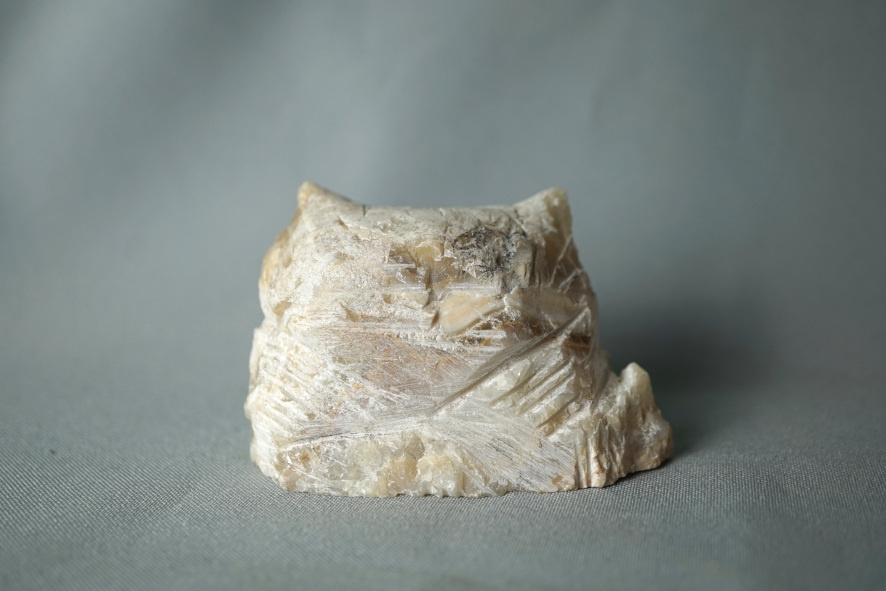 Заготовка кота. Когда начал работать и бросил уже не помню.