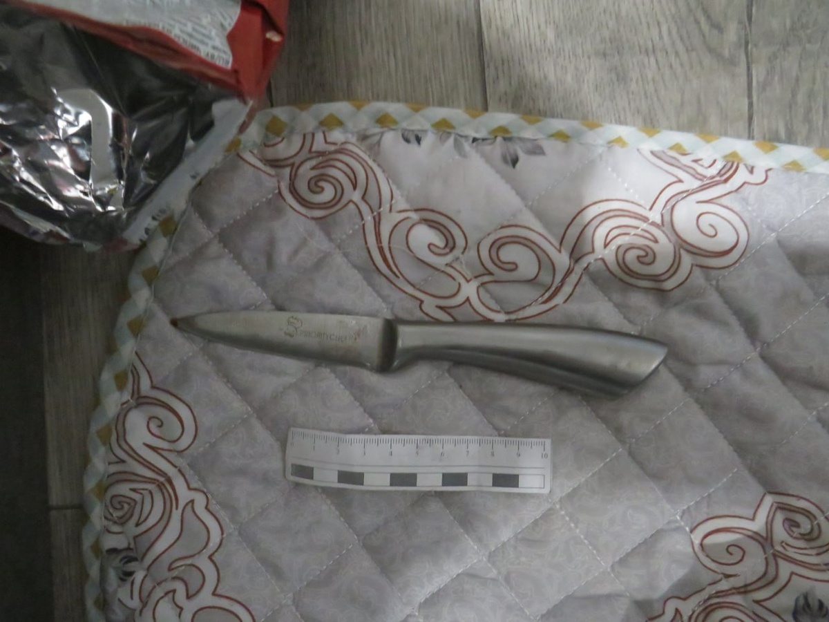    Житель Оренбурга ударил своего друга ножом в грудь во время пьянки