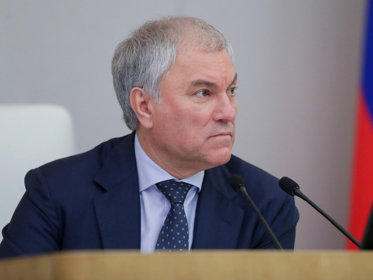 Фото: duma.gov.ru