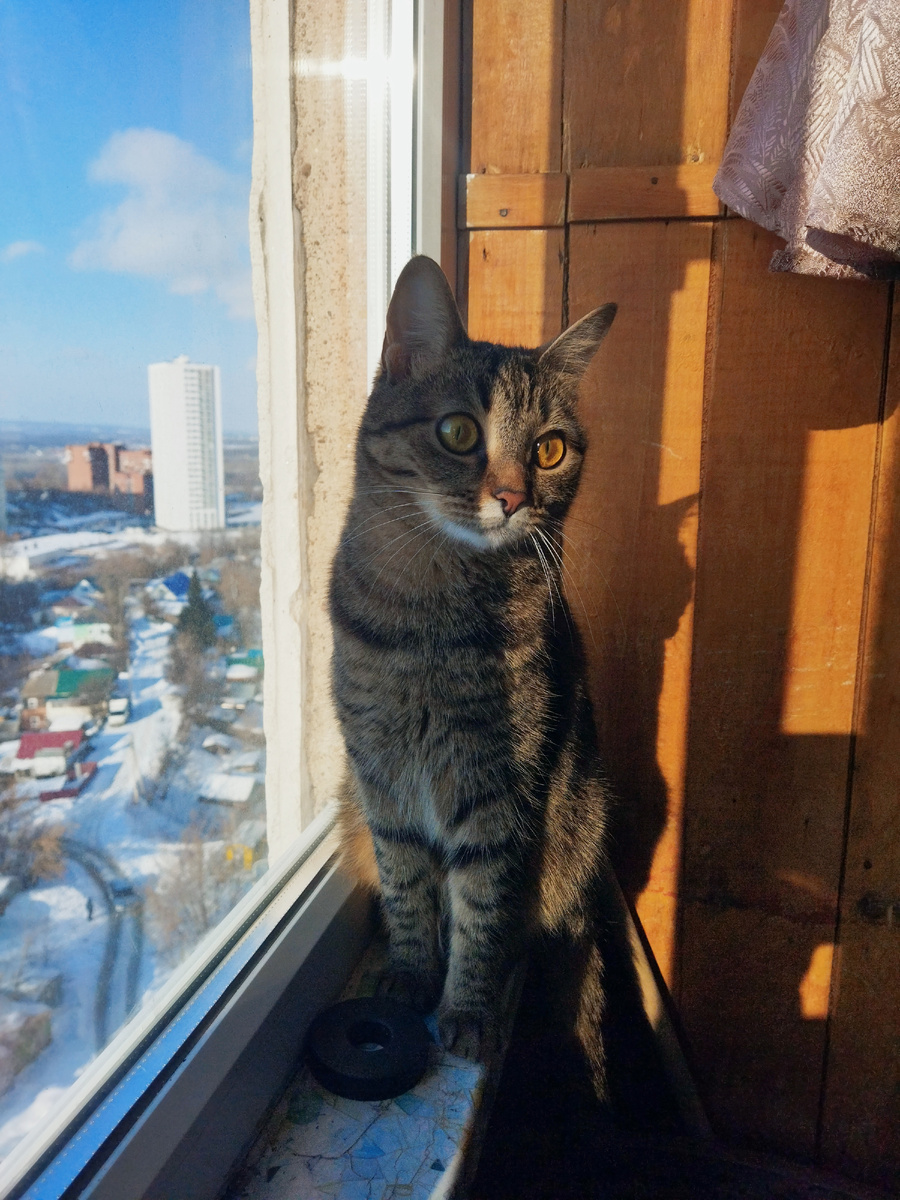 Фото автора