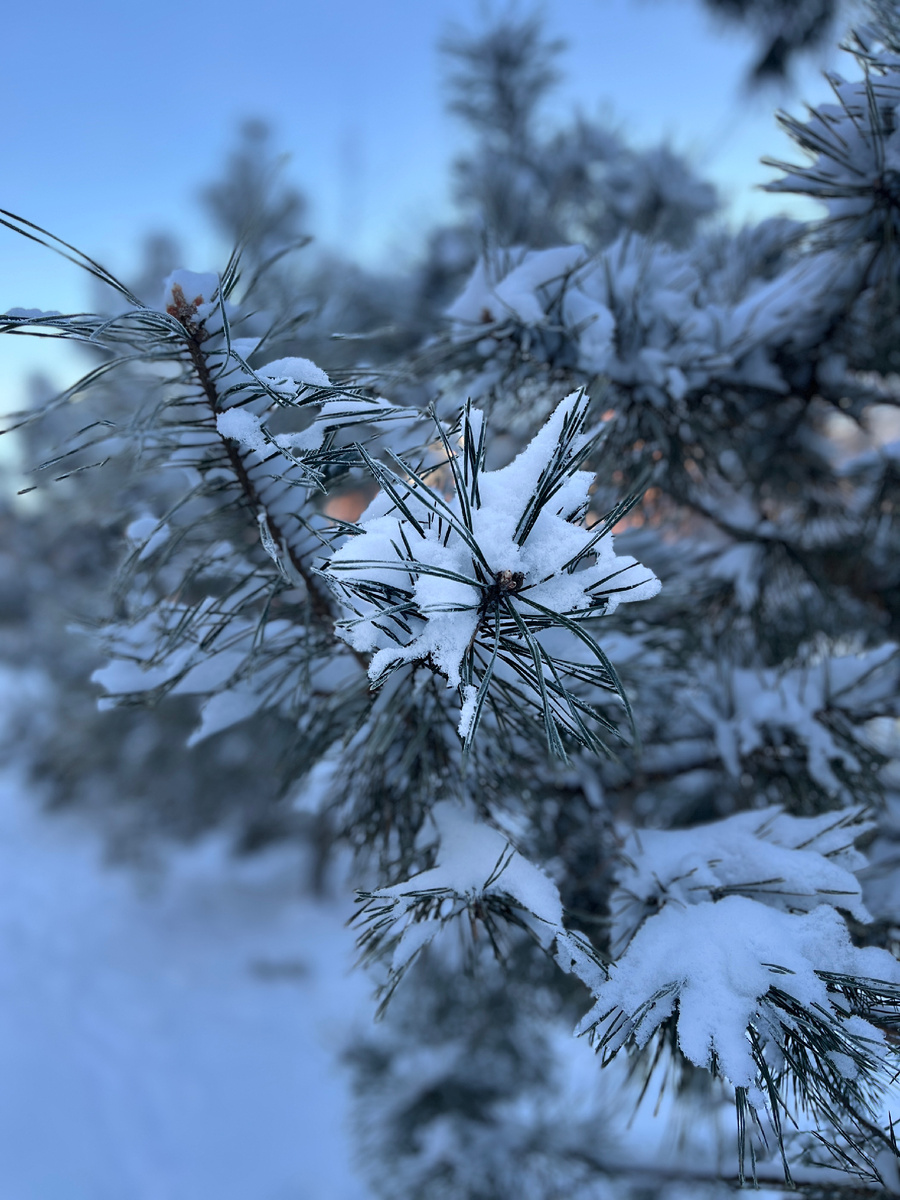 Фото автора канала.