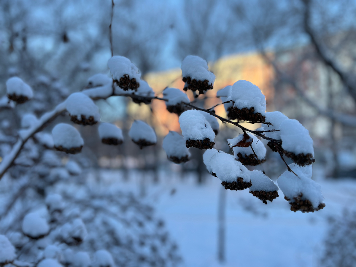 Фото автора канала.