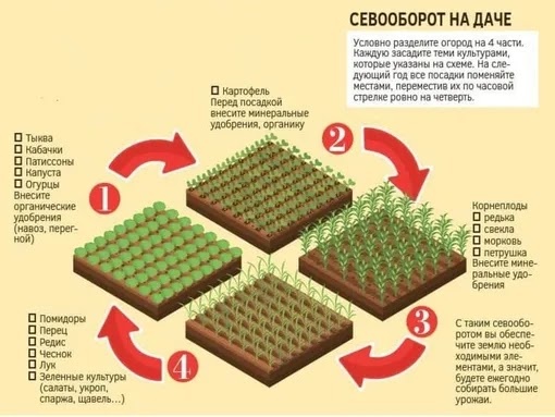 novochag.ru