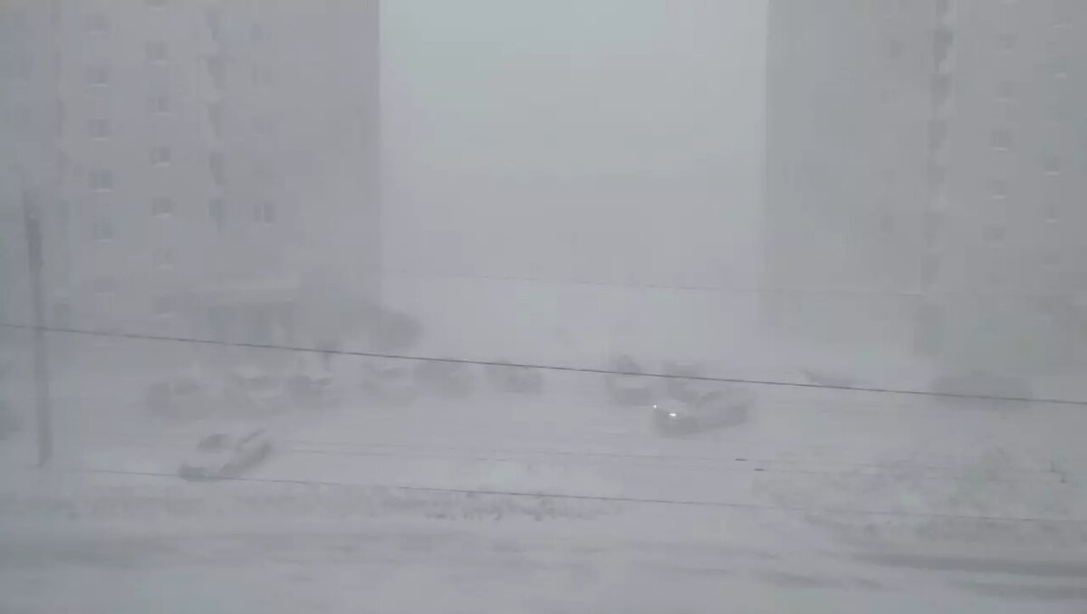     Автор: Сергей Савинов Источник: udm-info.ru