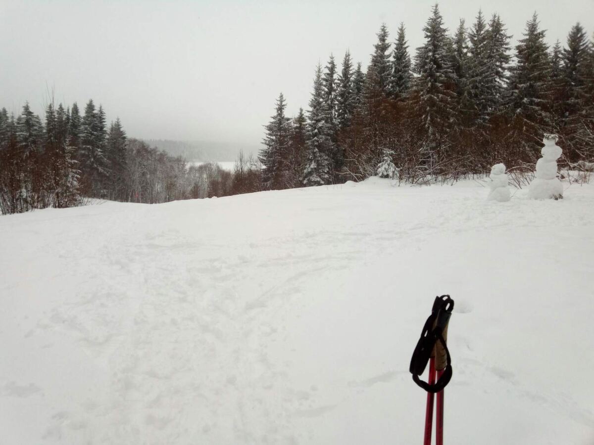 Движенье - это жизнь. 