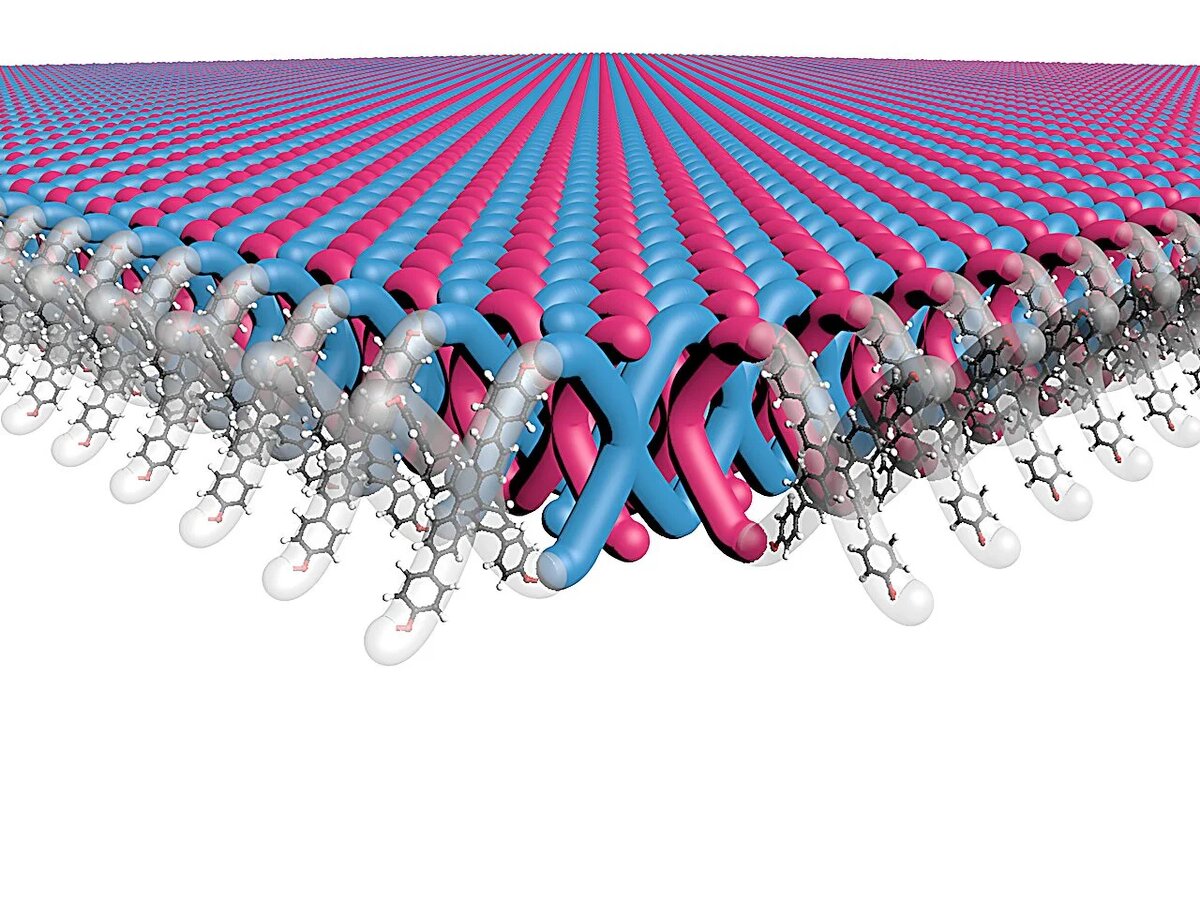 Фото: Северо-Западный университет США