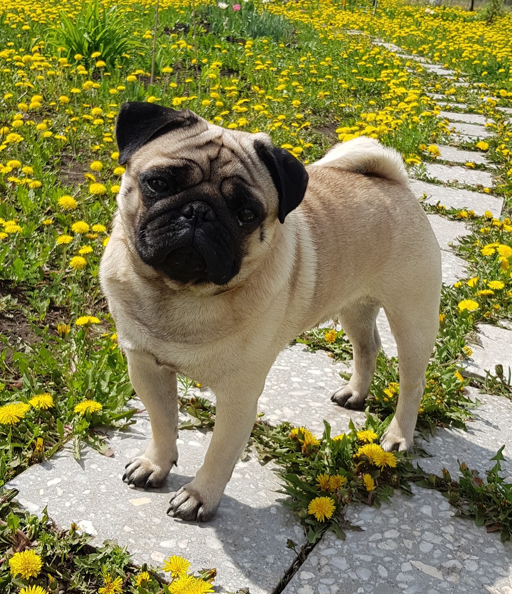 Наш Автобус