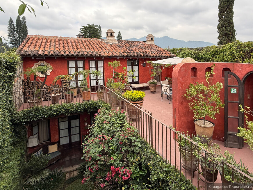 © Alexander Fokichev