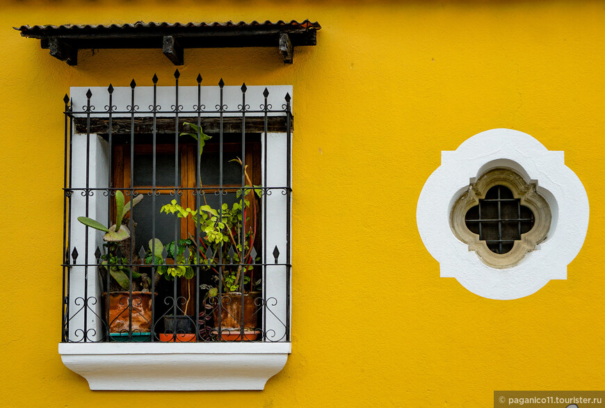 © Alexander Fokichev