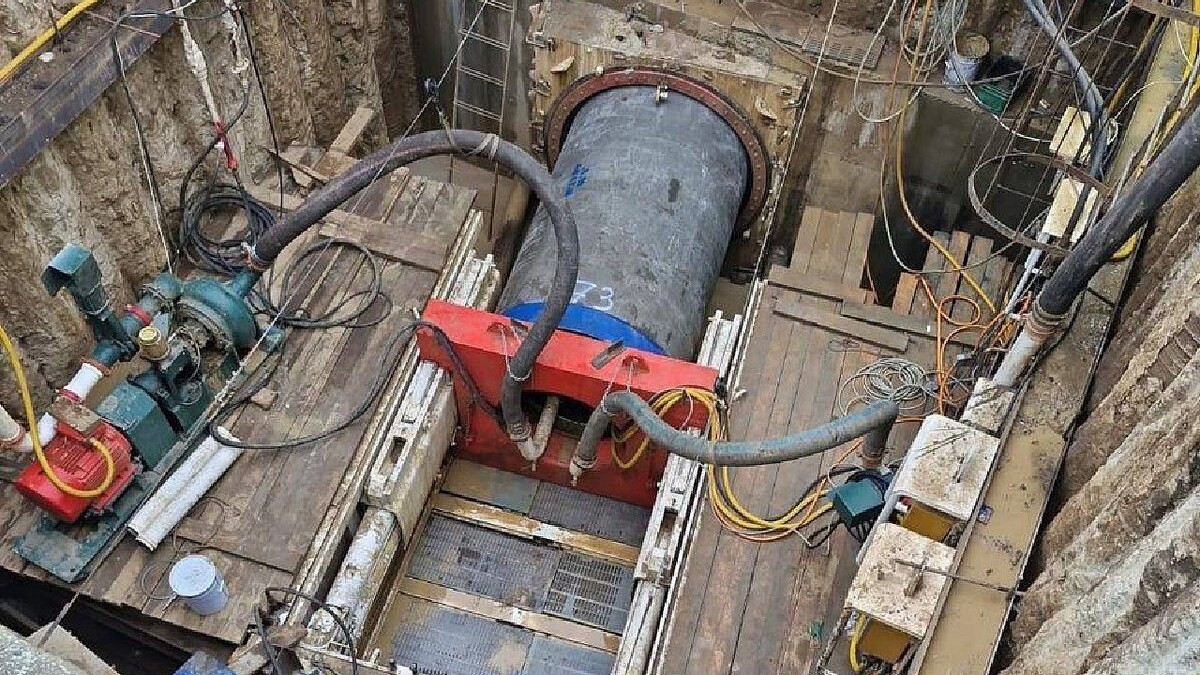    Фото: t.me/emnaumov