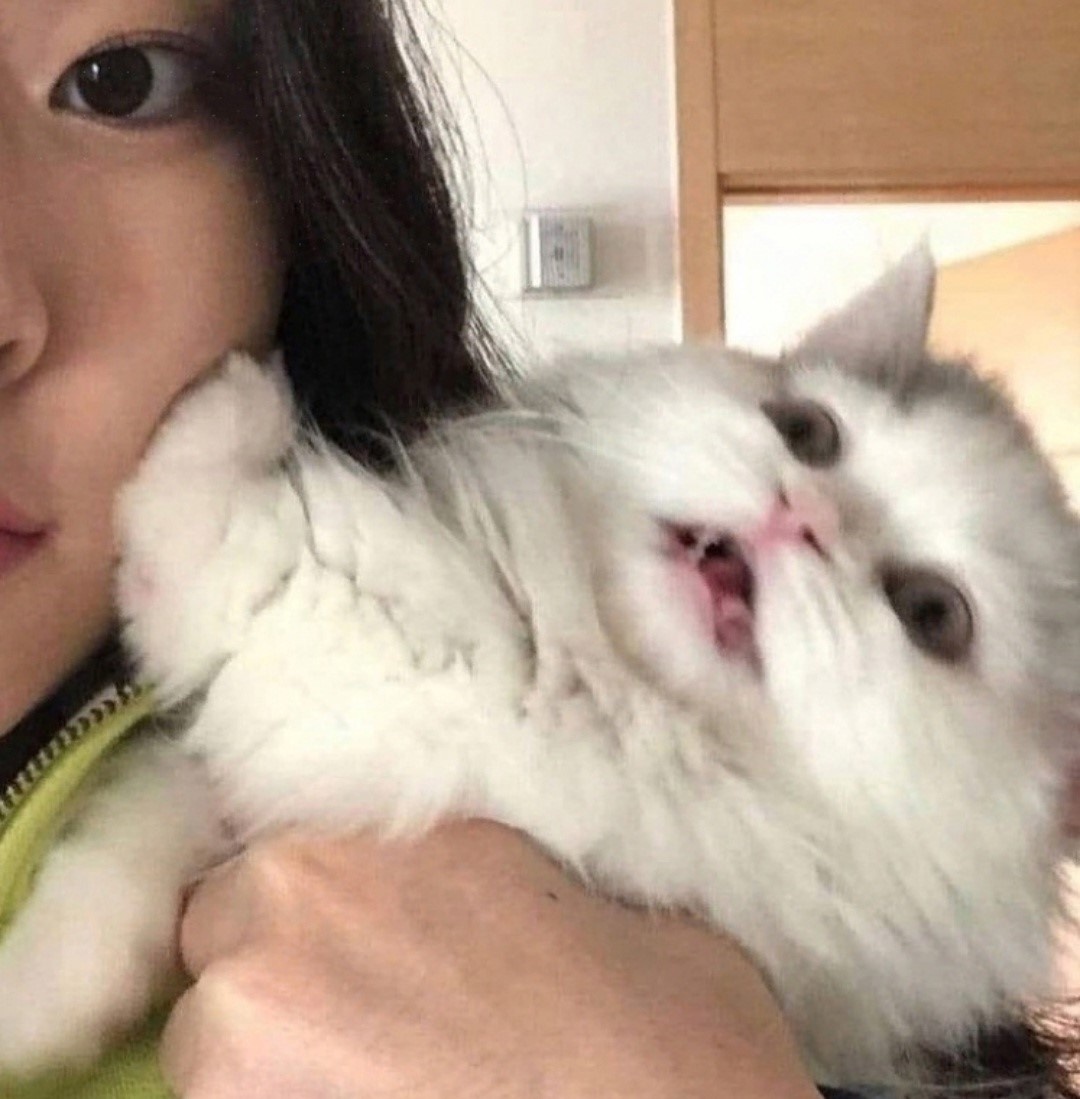 Пусти, а то я за себя не ручаюсь!)