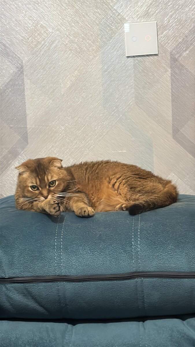 Мэй Ли ((из личного архива)