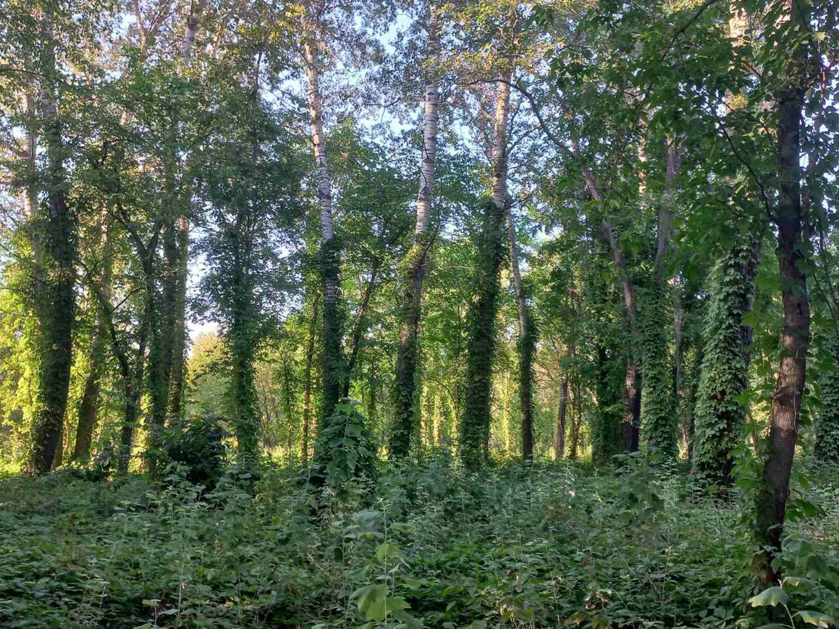 Фото автора.