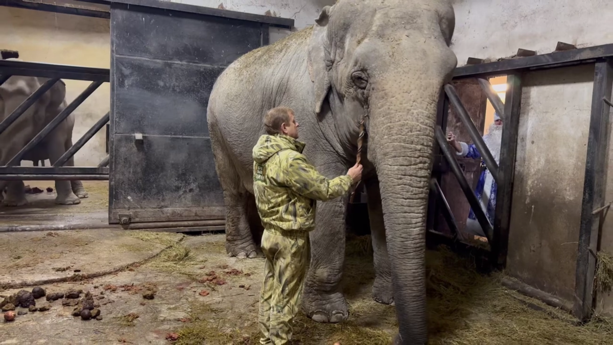 Фото: Telegram-канал Олега Зубкова