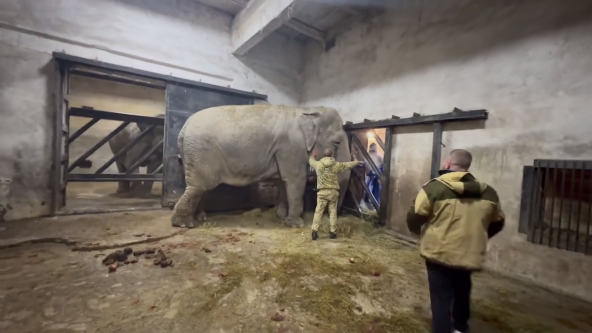 Фото: Telegram-канал Олега Зубкова