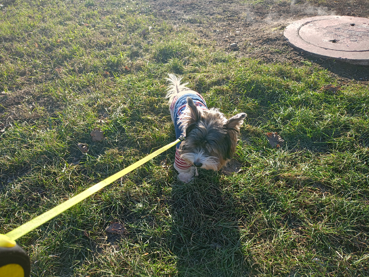 Так то и не скажешь что январь. 