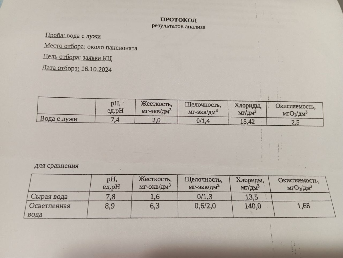    Фото: с протокола результатов анализа