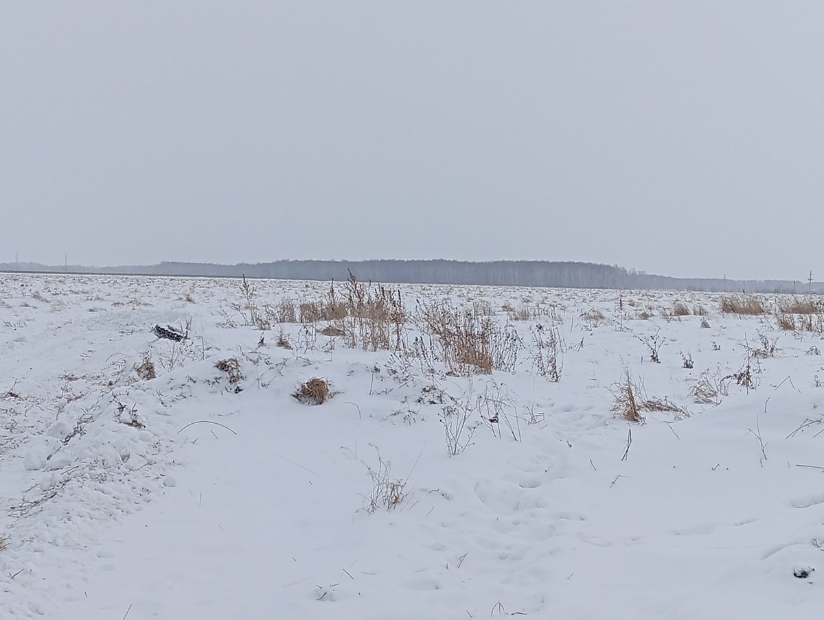    Фото: Дарья Якунина