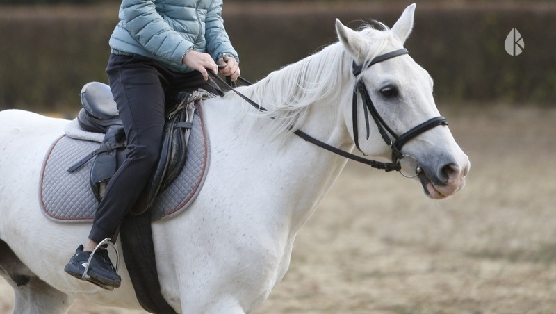      Фото: ИА «Победа26»