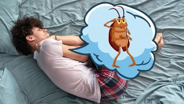 К чему снятся тараканы и что, по соннику, значит увидеть таракана во сне. Обложка © Коллаж © Life.ru, фото © Shutterstock / FOTODOM / Lysenko Andrii, © Freepik, © Freepik