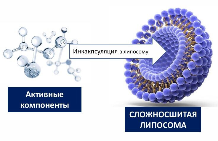 Альпосома раскрывается и высвобождает инкапсулированные компоненты в глубоких слоях кожи, что обеспечивает высокую эффективность и длительный пролонгированный эффект, аналогичный инъекционным методикам. Процедура проводится без использования игл и не вызывает побочных эффектов