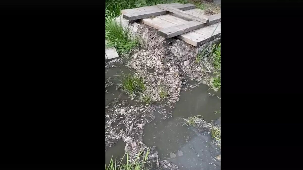     Источник: Беседка в Ляскеля / скриншот видеозаписи