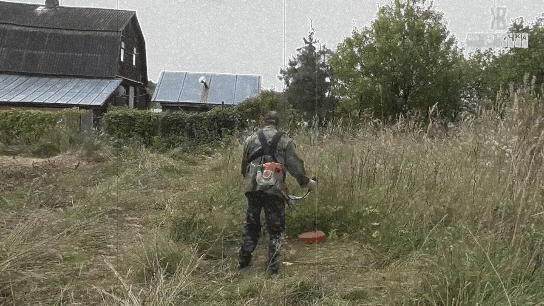 Долгое время участок не окашивался