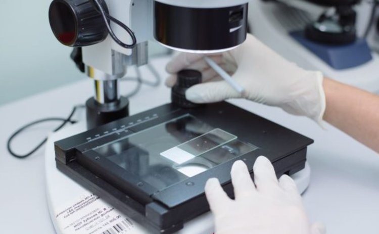    Откуда берутся металломагнитные примеси в кормовой рыбной муке