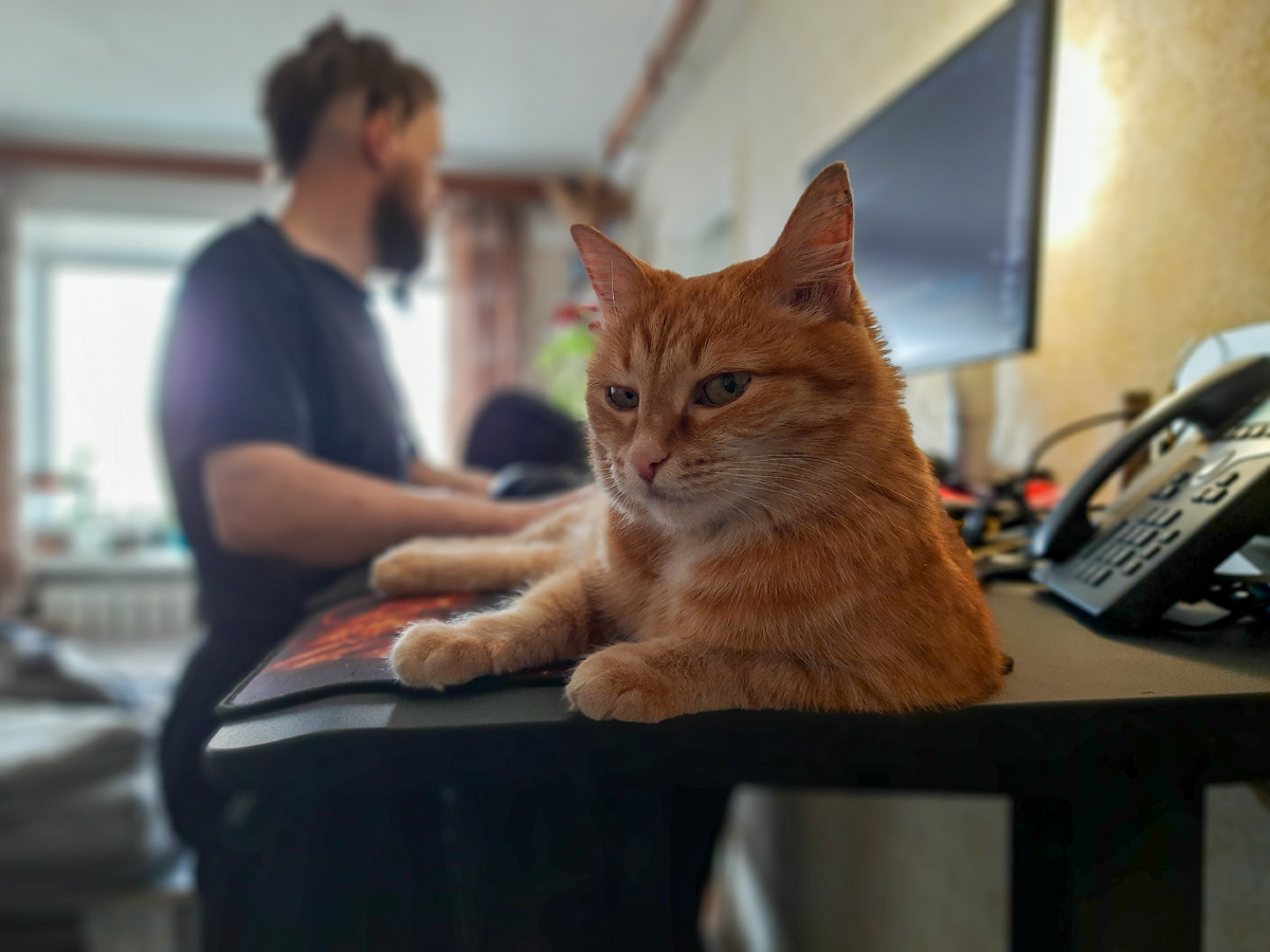 Вину не признаю, меня оклеветали