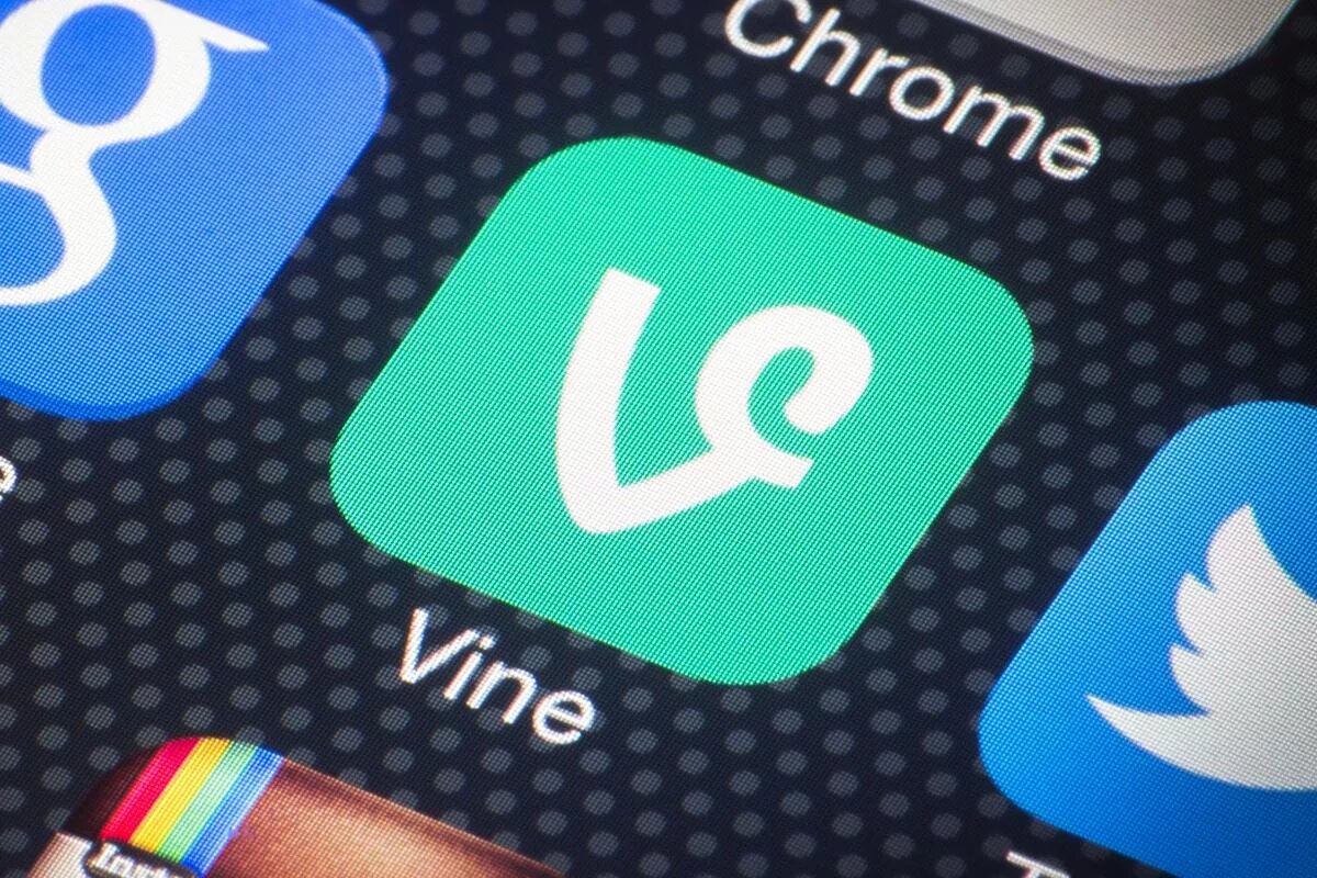vine logo wylsa.com