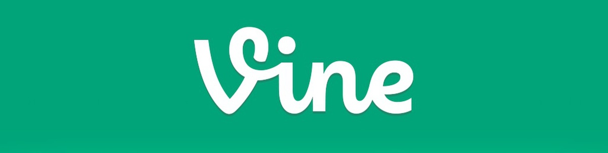 Vk.com Vine  logo