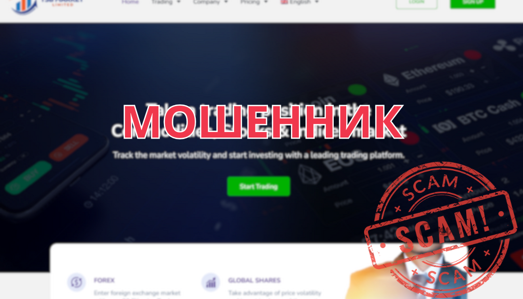 TSB Market LTD: отзывы, разоблачение и правда о выводе средств