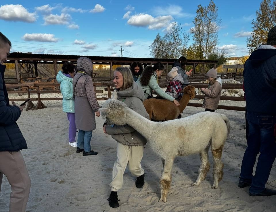 Парк альпак