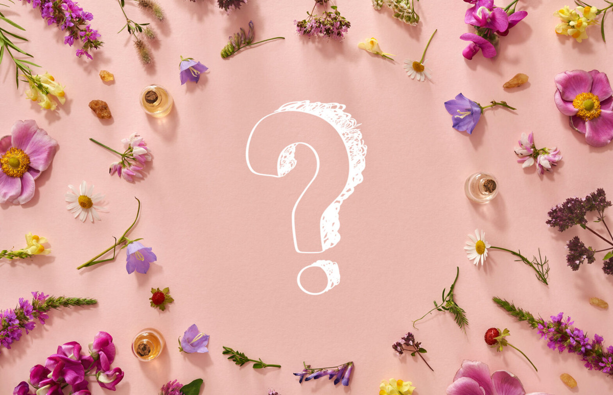    Фото: Unsplash, Pexels, архивы пресс-служб