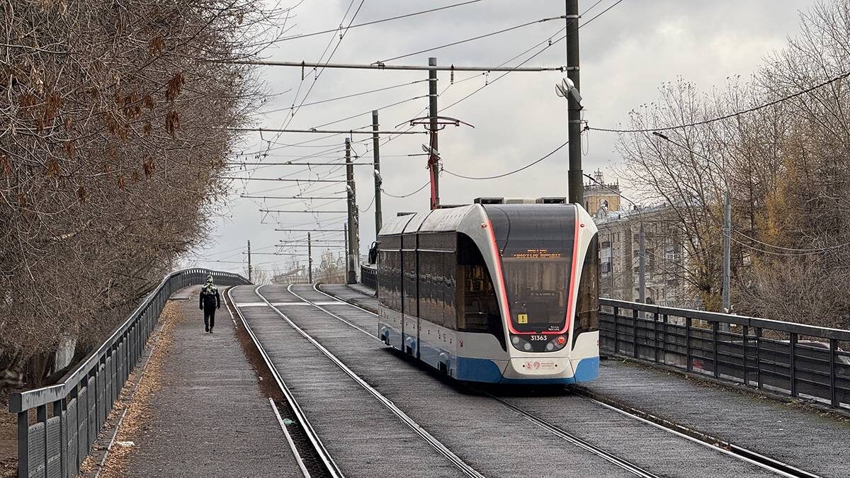    Фото: Андрей Прошин / Вечерняя Москва