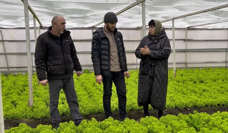     Теплица в Кардоновке перейдет с печного отопления на геотермальное
