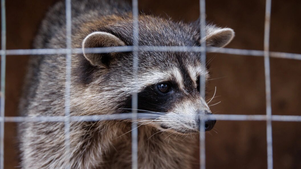    Фото: Sergey Elagin/Business Online/Globallookpress