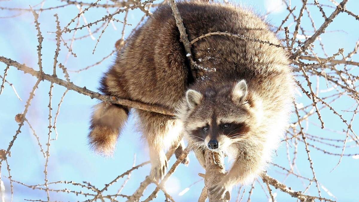    Фото: АГН Москва