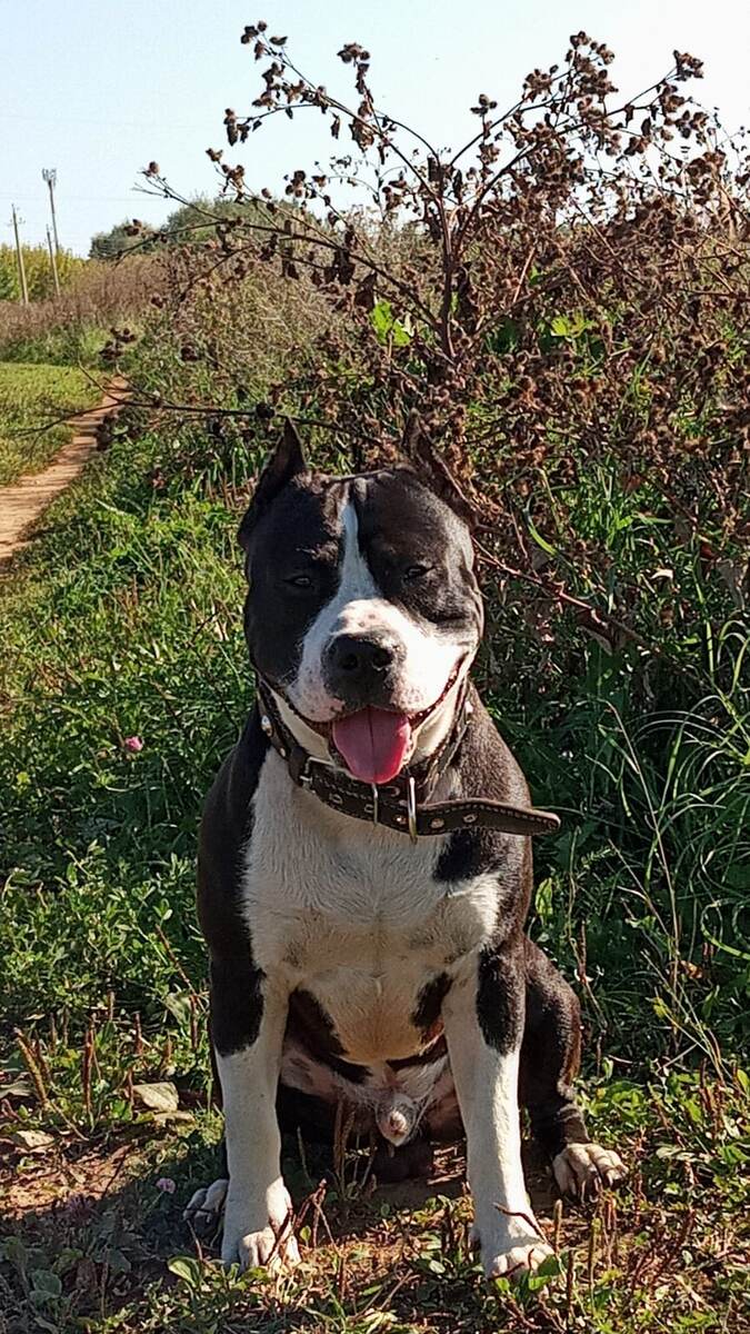 Мужик, что хотел спросить?