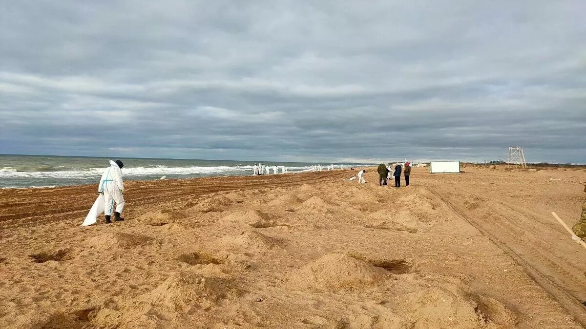     Автор: Администрация Анапы