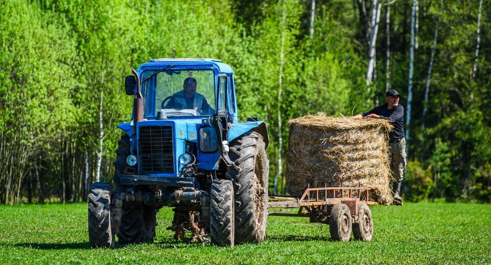    Медиасток.рф
