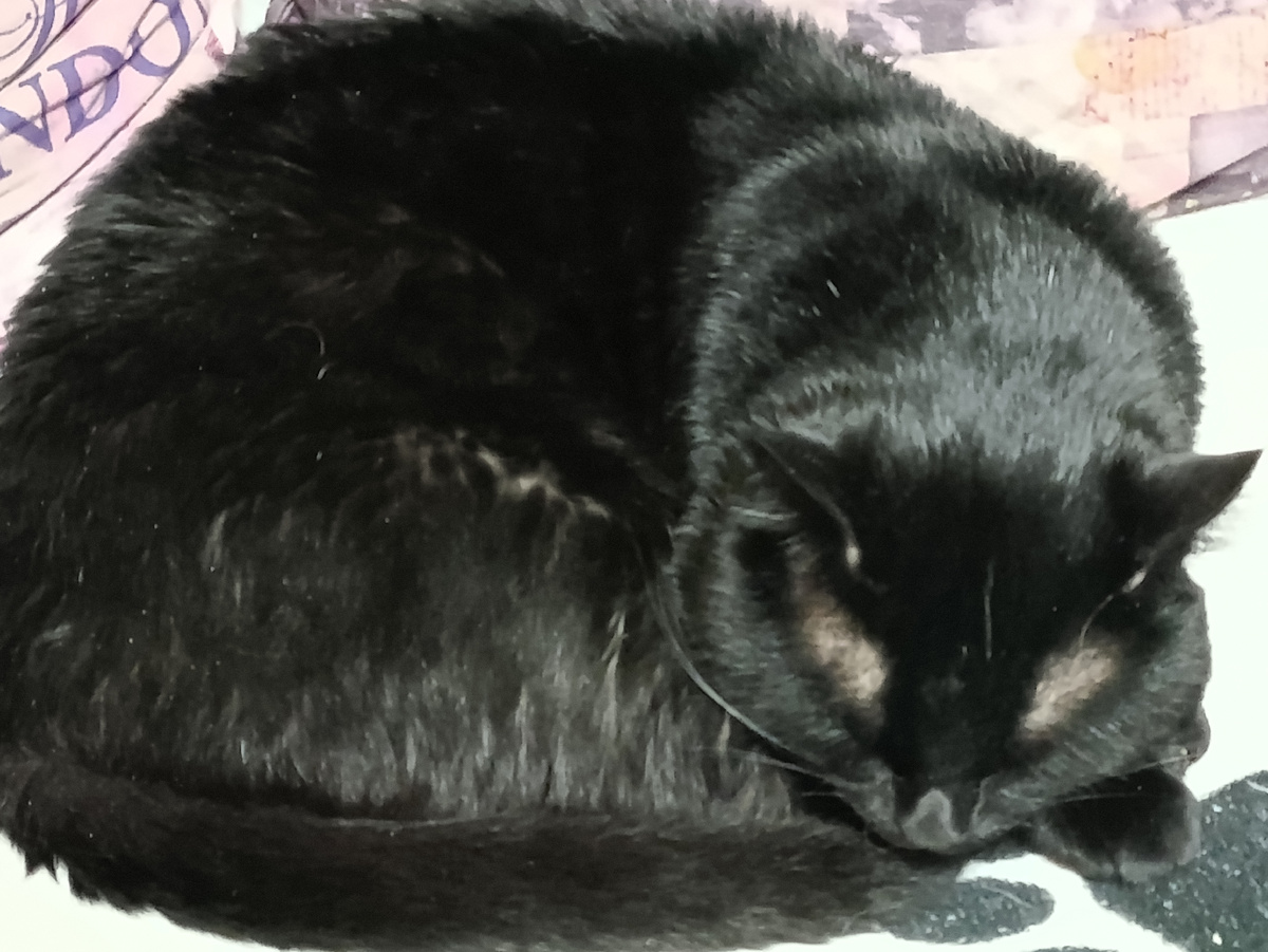 Мой колобок - Атлас