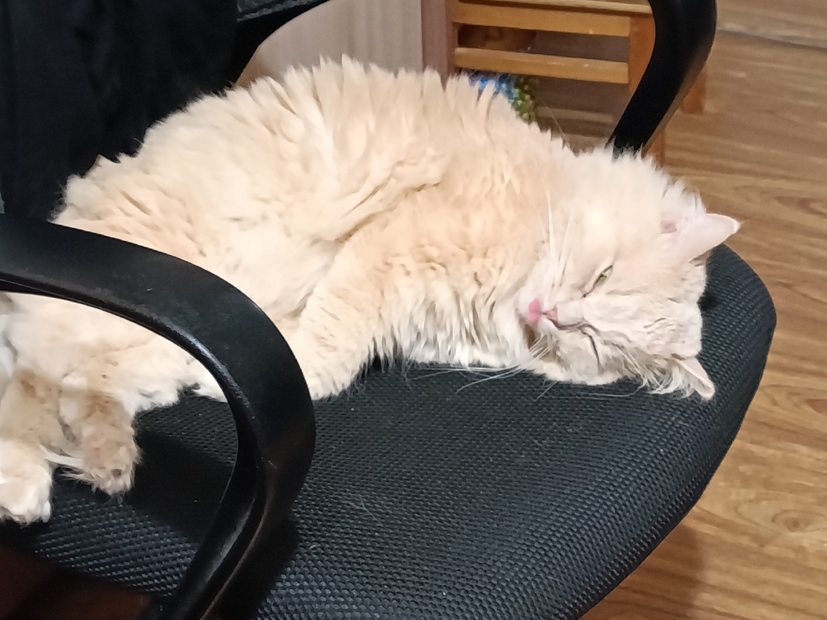 Пушистый вредина - Лис