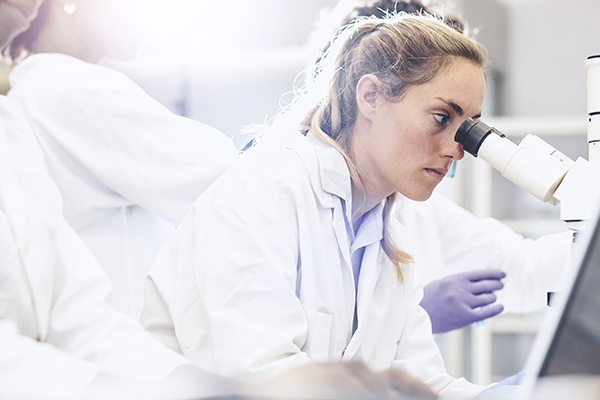 ФОТО: Из Сети