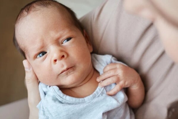 Влас с древнегреческого переводится как «грубый», «простоватый» или «тупой». Фото © Shutterstock / FOTODOM / StoryTime Studio