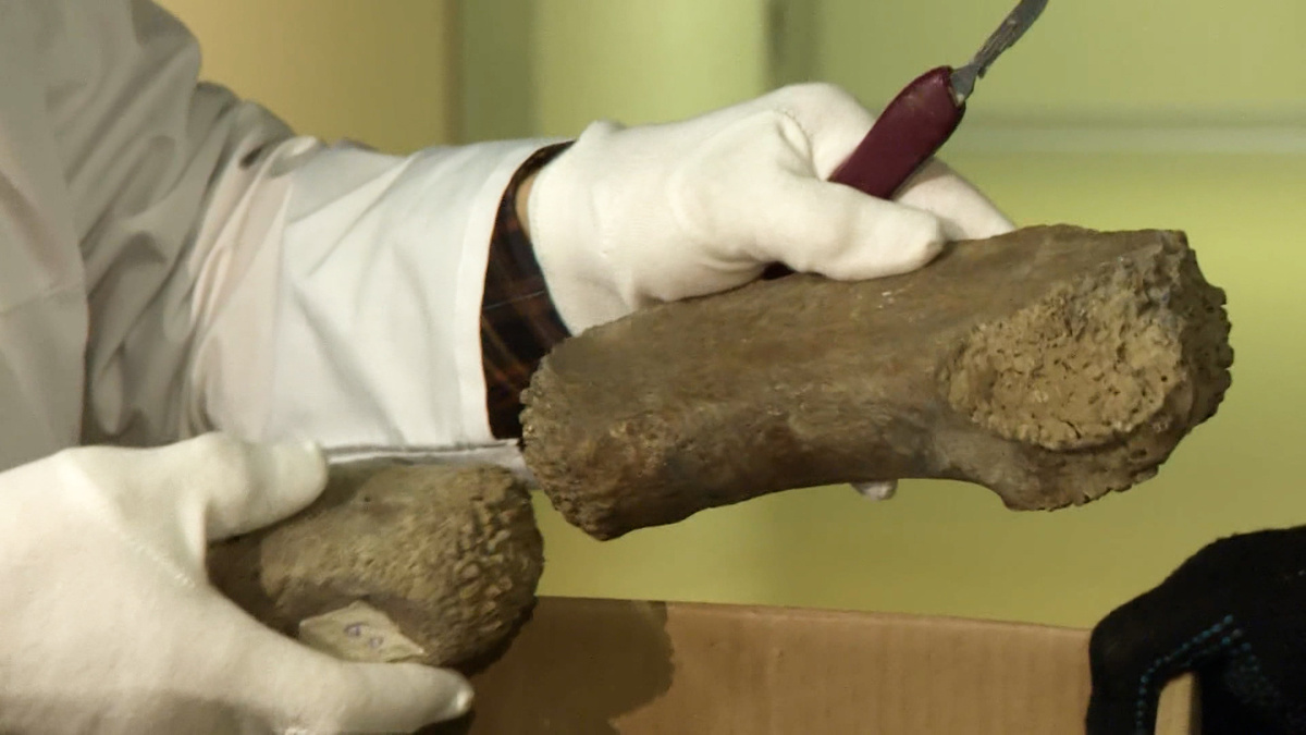    Фото: телеканал «Санкт-Петербург»