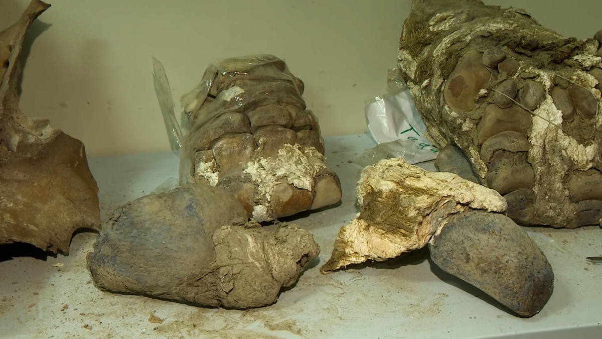    Фото: телеканал «Санкт-Петербург»