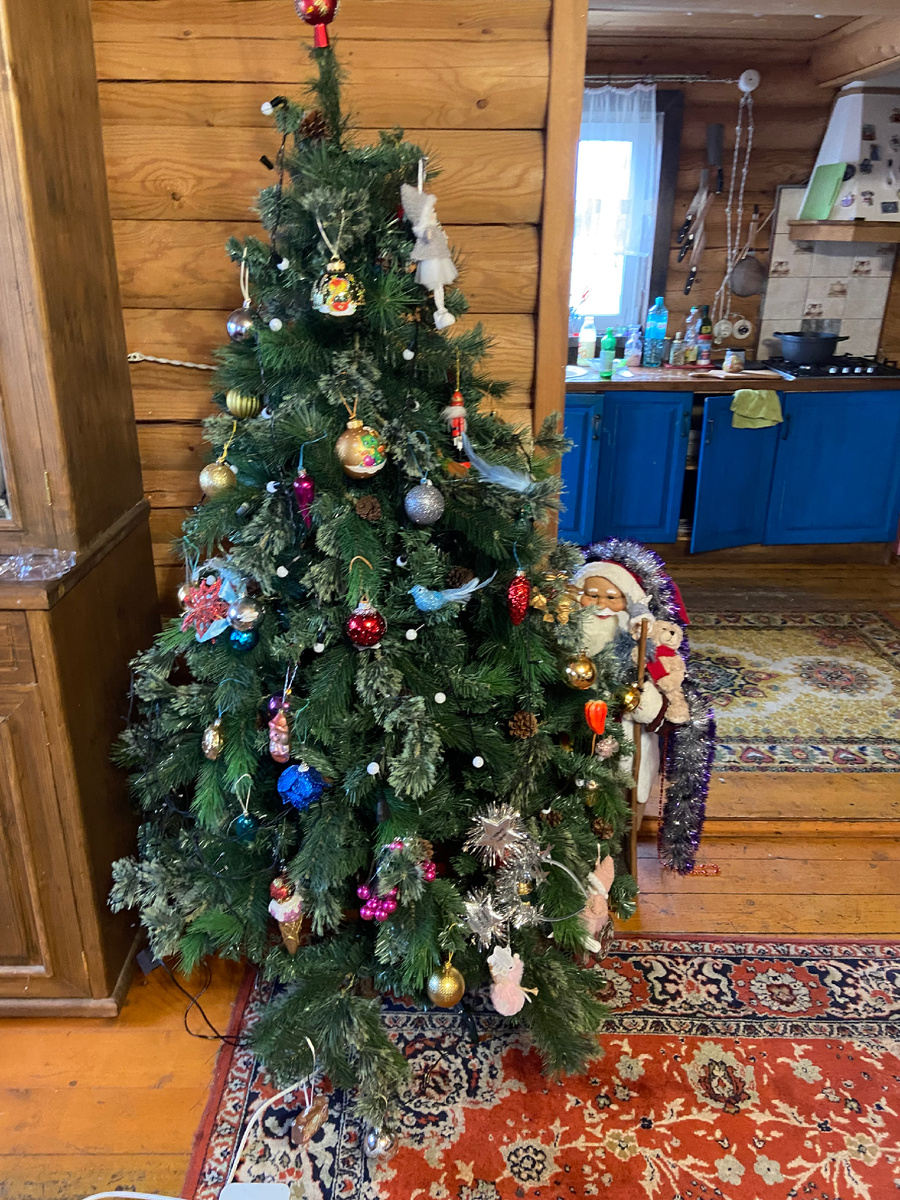 Ёлка в деревне.