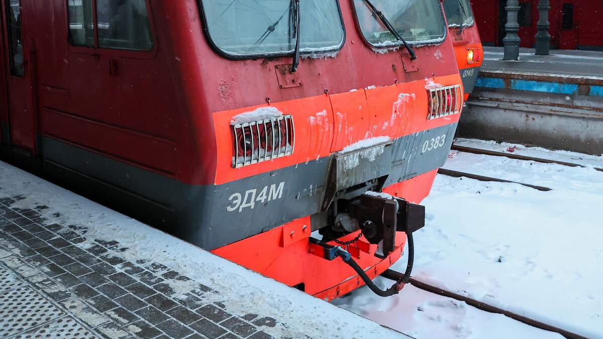    Фото: Belkin Alexey/globallookpress.com